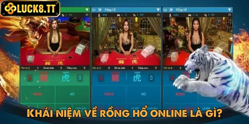 Tìm hiểu về rồng hổ